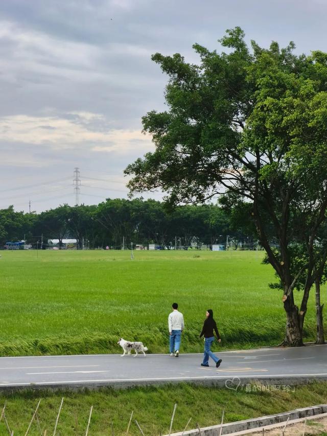 公园露营+遛娃+钓鱼一站式搞定免费周末好去处!冰球突破爆百万大奖广州又多一个“原生态”河畔(图5) 公园露营+遛娃+钓鱼一站式搞定免费周末好去处!冰球突破爆百万大奖广州又多一个“原生态”河畔(图5)