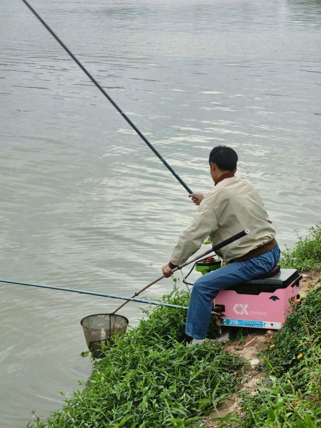 公园露营+遛娃+钓鱼一站式搞定免费周末好去处！冰球突破爆百万大奖广州又多一个“原生态”河畔(图4)