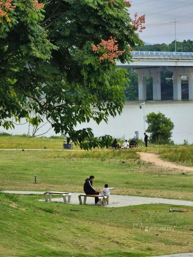 公园露营+遛娃+钓鱼一站式搞定免费周末好去处!冰球突破爆百万大奖广州又多一个“原生态”河畔(图3) 公园露营+遛娃+钓鱼一站式搞定免费周末好去处!冰球突破爆百万大奖广州又多一个“原生态”河畔(图3)