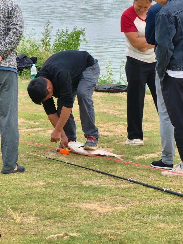 公园露营+遛娃+钓鱼一站式搞定免费周末好去处!冰球突破爆百万大奖广州又多一个“原生态”河畔(图6) 公园露营+遛娃+钓鱼一站式搞定免费周末好去处!冰球突破爆百万大奖广州又多一个“原生态”河畔(图6)