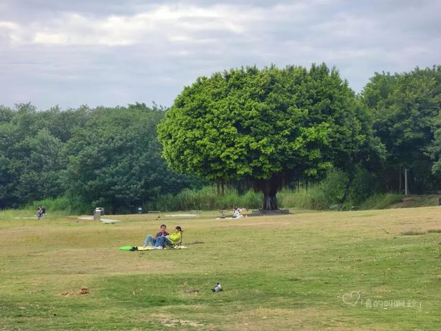 公园露营+遛娃+钓鱼一站式搞定免费周末好去处!冰球突破爆百万大奖广州又多一个“原生态”河畔(图8) 公园露营+遛娃+钓鱼一站式搞定免费周末好去处!冰球突破爆百万大奖广州又多一个“原生态”河畔(图8)