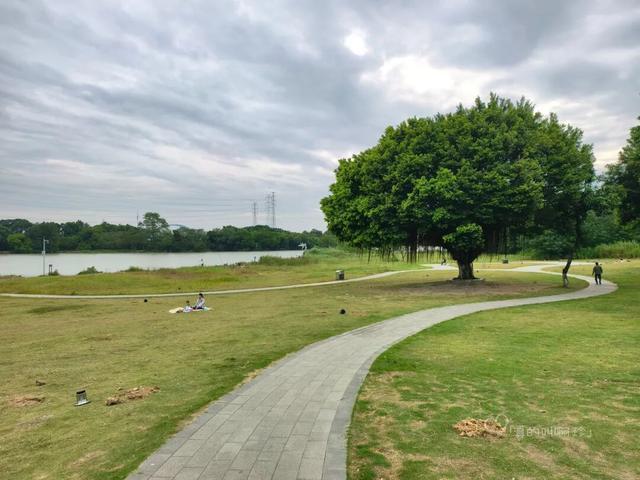 公园露营+遛娃+钓鱼一站式搞定免费周末好去处!冰球突破爆百万大奖广州又多一个“原生态”河畔(图7) 公园露营+遛娃+钓鱼一站式搞定免费周末好去处!冰球突破爆百万大奖广州又多一个“原生态”河畔(图7)