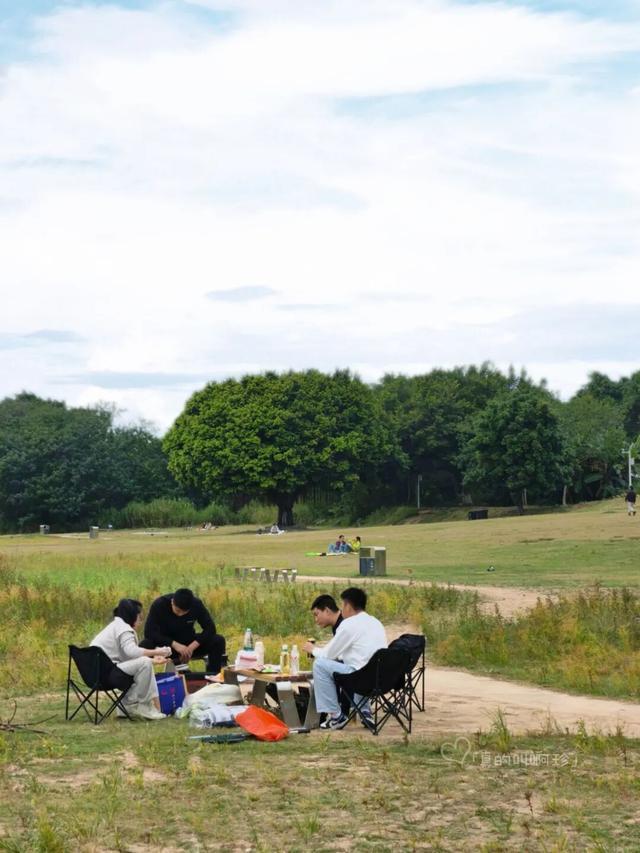 公园露营+遛娃+钓鱼一站式搞定免费周末好去处!冰球突破爆百万大奖广州又多一个“原生态”河畔(图10) 公园露营+遛娃+钓鱼一站式搞定免费周末好去处!冰球突破爆百万大奖广州又多一个“原生态”河畔(图10)