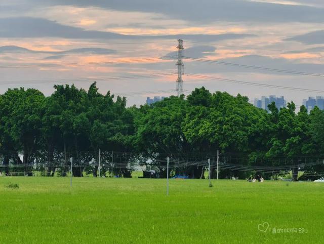 公园露营+遛娃+钓鱼一站式搞定免费周末好去处!冰球突破爆百万大奖广州又多一个“原生态”河畔(图15) 公园露营+遛娃+钓鱼一站式搞定免费周末好去处!冰球突破爆百万大奖广州又多一个“原生态”河畔(图15)