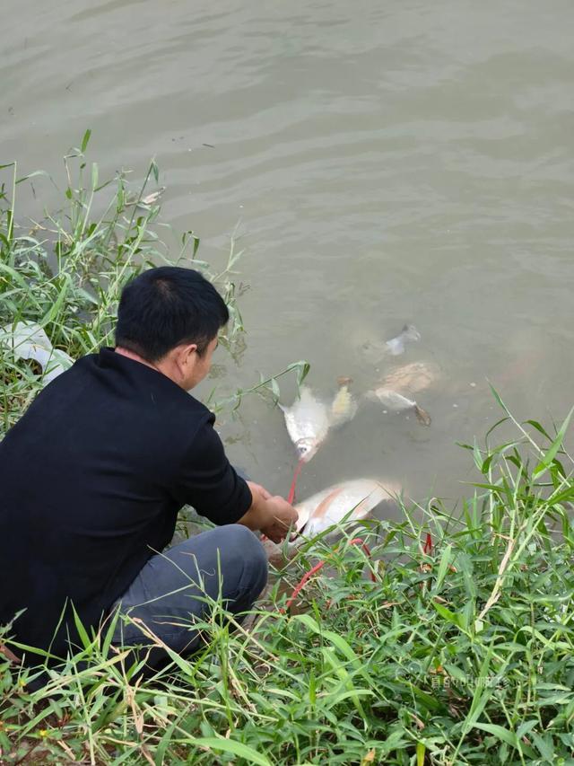 公园露营+遛娃+钓鱼一站式搞定免费周末好去处!冰球突破爆百万大奖广州又多一个“原生态”河畔(图13) 公园露营+遛娃+钓鱼一站式搞定免费周末好去处!冰球突破爆百万大奖广州又多一个“原生态”河畔(图13)