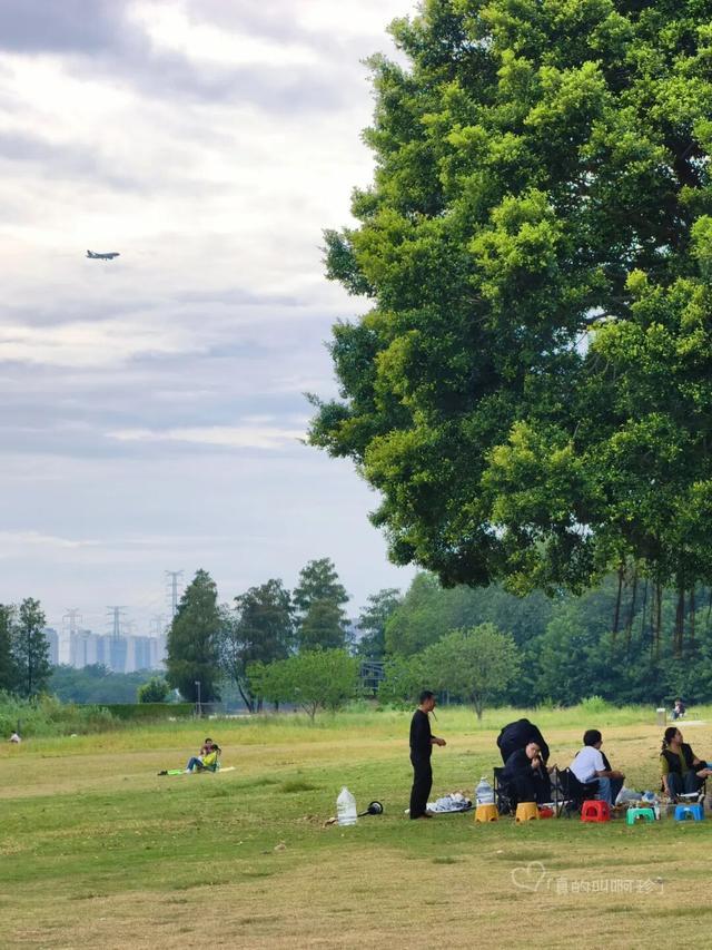 公园露营+遛娃+钓鱼一站式搞定免费周末好去处!冰球突破爆百万大奖广州又多一个“原生态”河畔(图11) 公园露营+遛娃+钓鱼一站式搞定免费周末好去处!冰球突破爆百万大奖广州又多一个“原生态”河畔(图11)