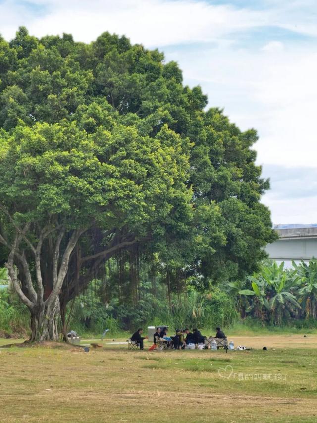 公园露营+遛娃+钓鱼一站式搞定免费周末好去处!冰球突破爆百万大奖广州又多一个“原生态”河畔(图14) 公园露营+遛娃+钓鱼一站式搞定免费周末好去处!冰球突破爆百万大奖广州又多一个“原生态”河畔(图14)