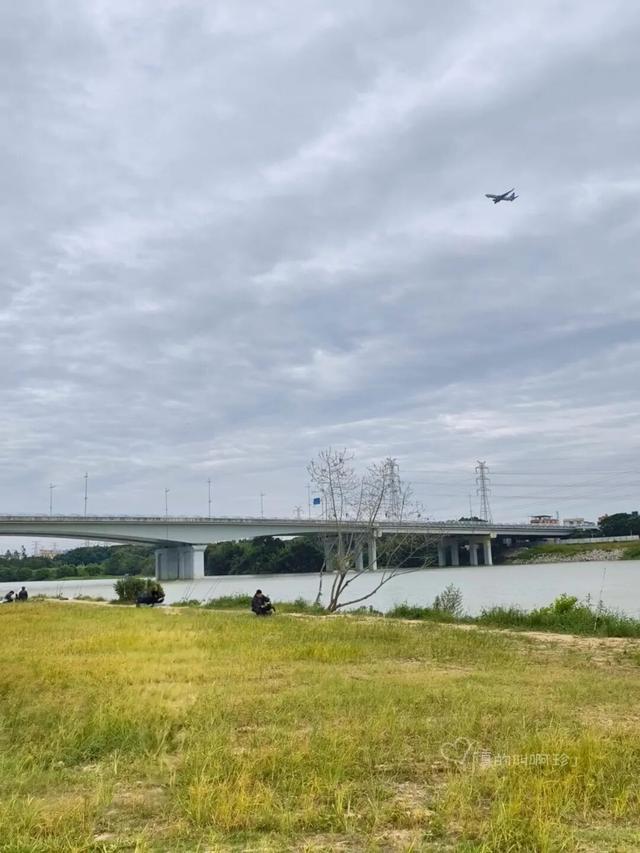 公园露营+遛娃+钓鱼一站式搞定免费周末好去处!冰球突破爆百万大奖广州又多一个“原生态”河畔(图16) 公园露营+遛娃+钓鱼一站式搞定免费周末好去处!冰球突破爆百万大奖广州又多一个“原生态”河畔(图16)