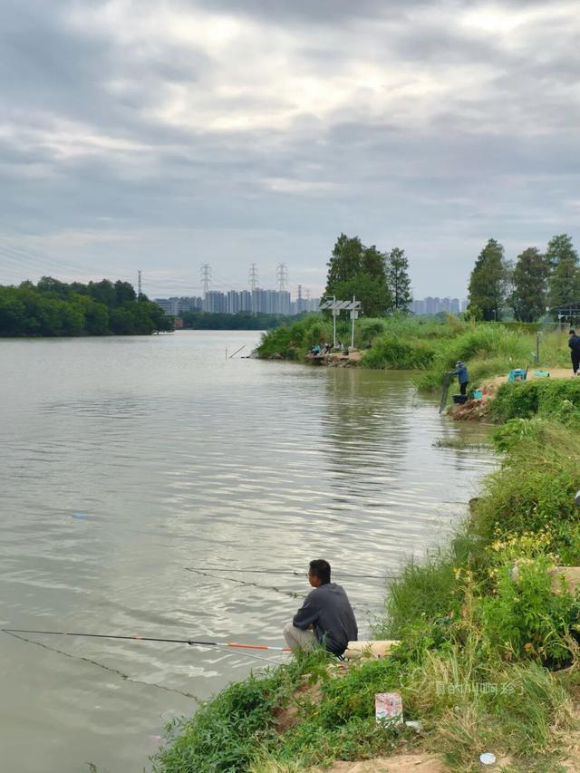 公园露营+遛娃+钓鱼一站式搞定免费周末好去处!冰球突破爆百万大奖广州又多一个“原生态”河畔(图17) 公园露营+遛娃+钓鱼一站式搞定免费周末好去处!冰球突破爆百万大奖广州又多一个“原生态”河畔(图17)